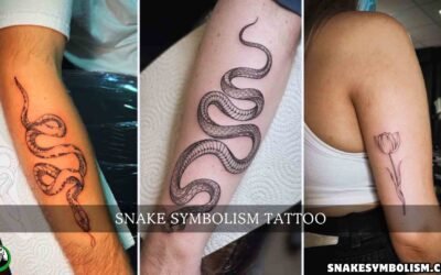 Snake Symbolism Tattoo