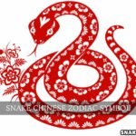 snake chinese zodiac symbol