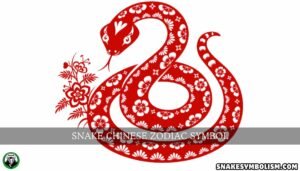 snake chinese zodiac symbol