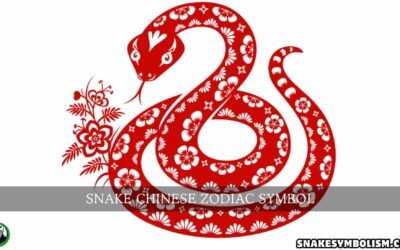 snake chinese zodiac symbol