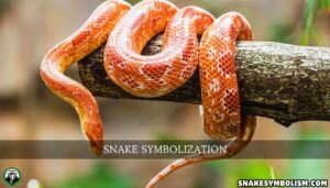 snake symbolization