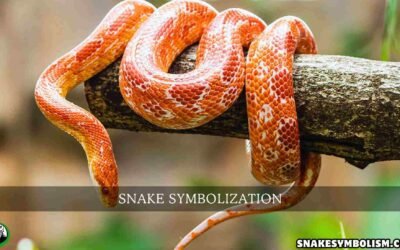 snake symbolization